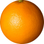 VPS, Hosting, & Domain: Orange Website logo